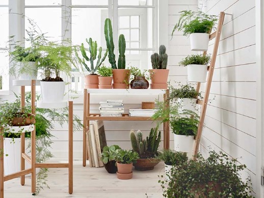 Инструктор в GreenLife Academy София